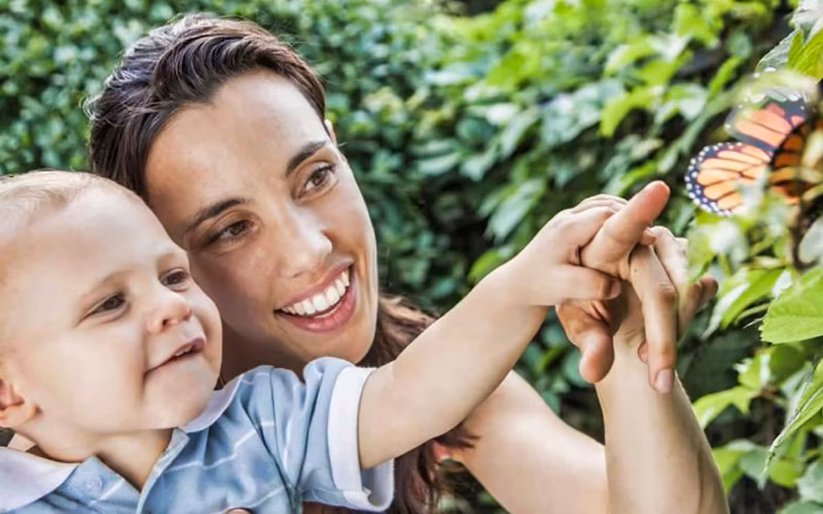 Dubai Butterfly Garden Skip-the-Line Tickets & Indoor Garden guest snapshot 2