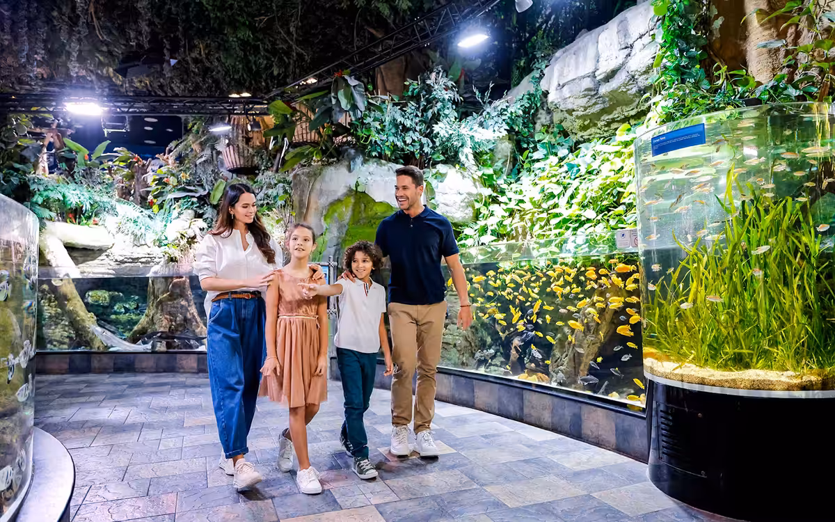 Dubai Aquarium and Underwater Zoo with Penguin Cove Tickets image 1